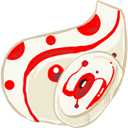 Folder_Optical Drive icon